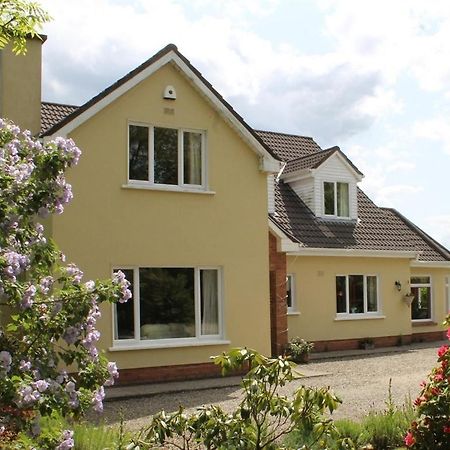 Blossom Hill Bed And Breakfast Killaloe Buitenkant foto