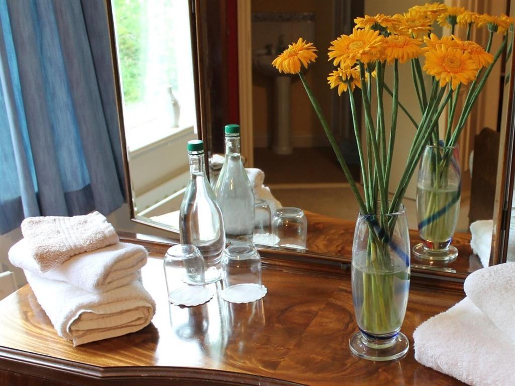 Blossom Hill Bed And Breakfast Killaloe Buitenkant foto