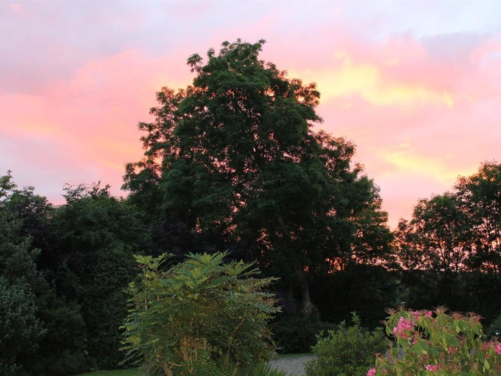 Blossom Hill Bed And Breakfast Killaloe Buitenkant foto