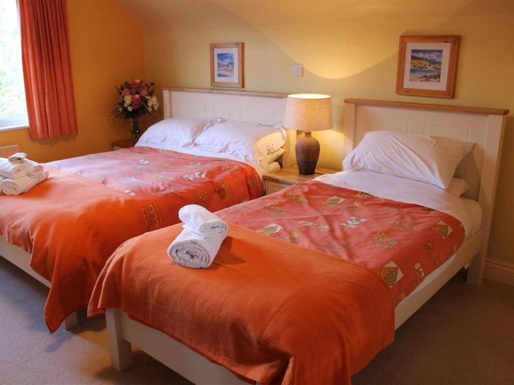 Blossom Hill Bed And Breakfast Killaloe Buitenkant foto